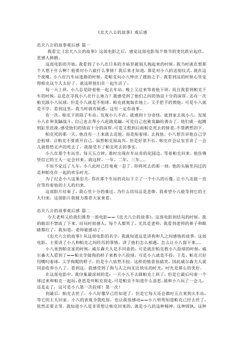 《忠犬八公的故事》观后感