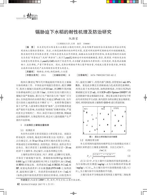 镉胁迫下水稻的耐性机理及防治研究