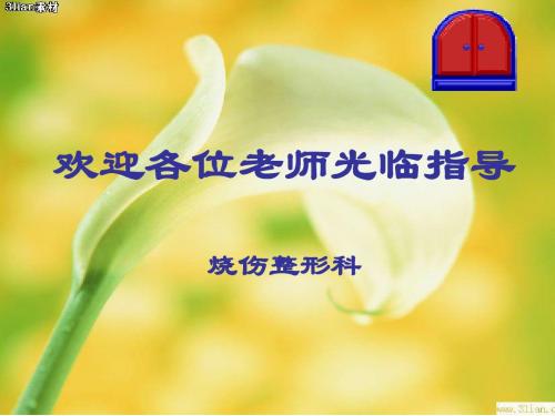 烧伤科9月护理查房