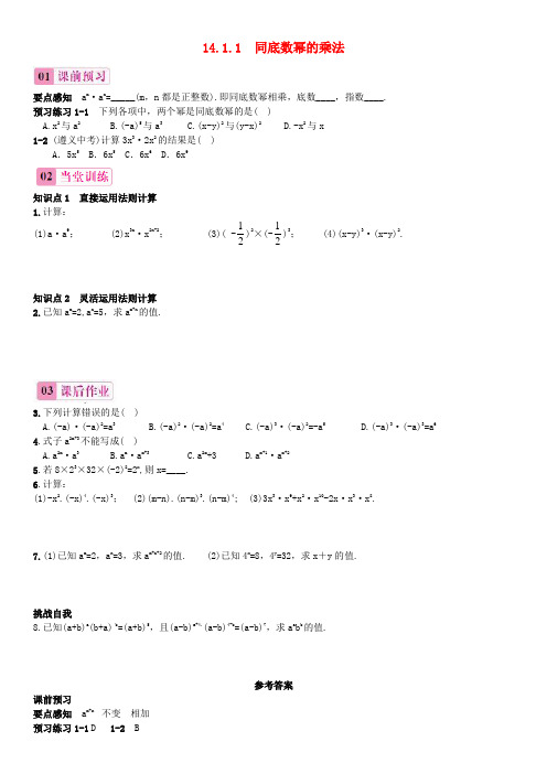 八年级数学上册 14.1.1 同底数幂的乘法练习 (新版)新人教版