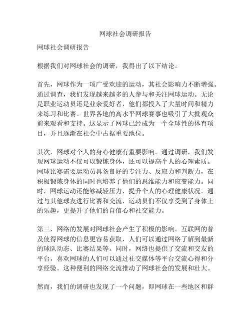 网球社会调研报告