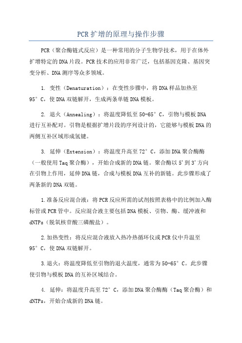 PCR扩增的原理与操作步骤