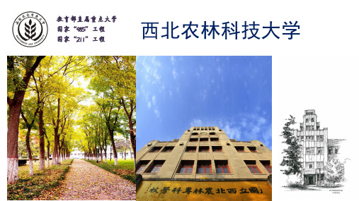 西北农林科技大学简介ppt课件