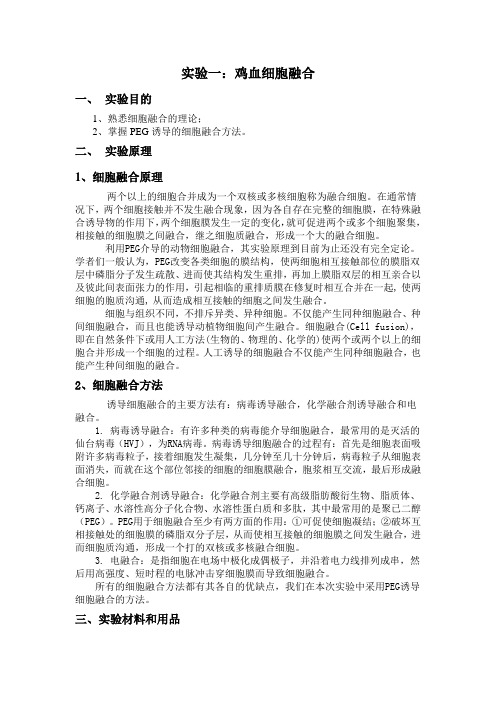 实验一:鸡血细胞融合
