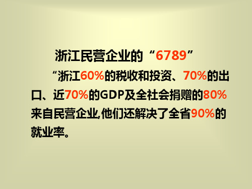 浙江民营经济发展与浙江精神讲义