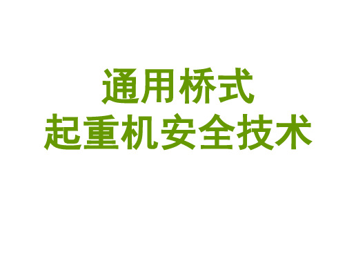 桥吊安全技术课件