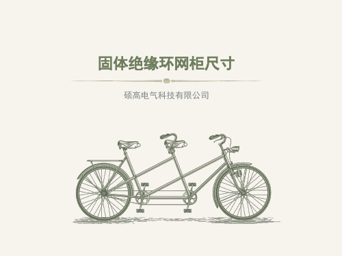 固体绝缘环网柜尺寸