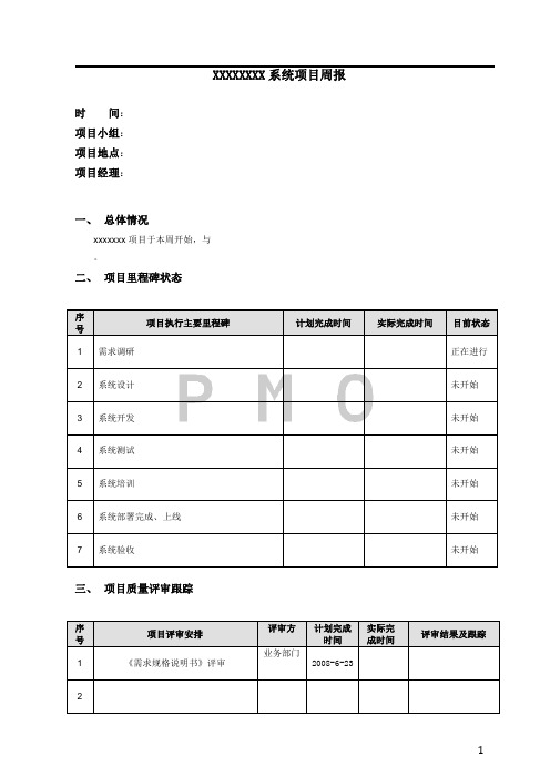 系统项目周报模板