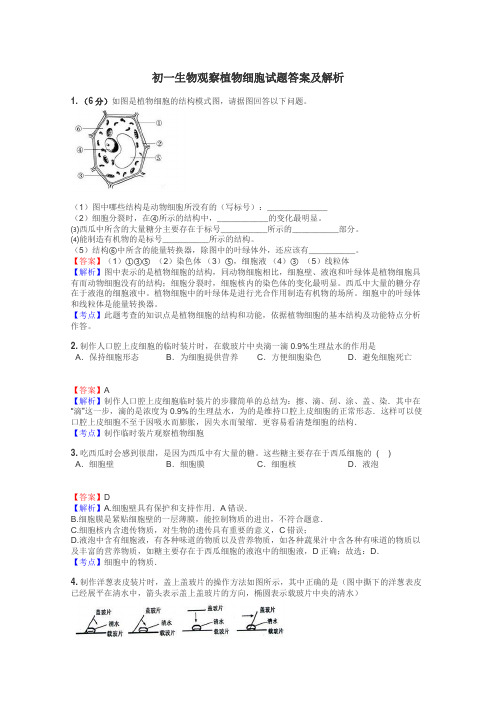 初一生物观察植物细胞试题答案及解析
