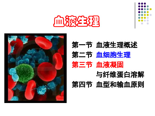 生理学第三章  血液