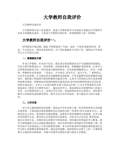 大学教师自我评价