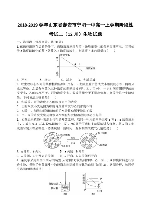 2018-2019学年山东省泰安市宁阳一中高一上学期阶段性考试二(12月)生物试题