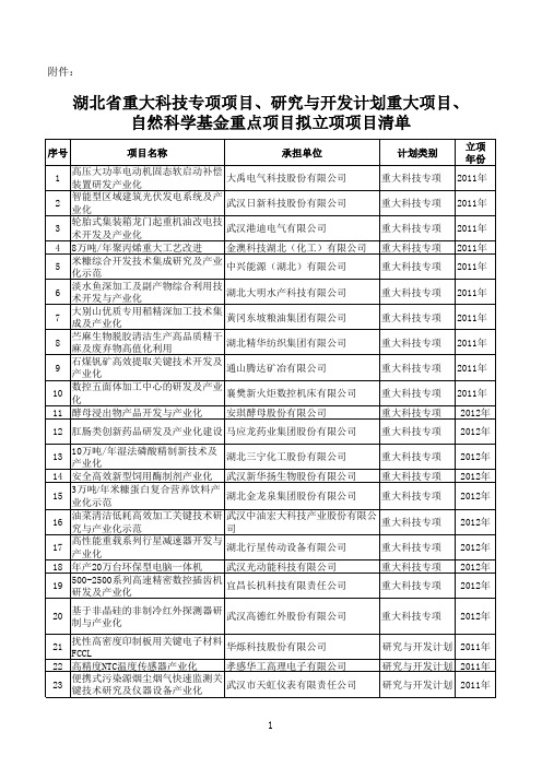 目`研究与开发计划重大项目`自然科学基金