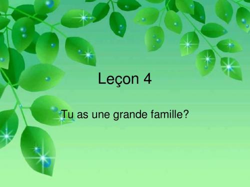 lecon 4 tu as une grande famille你有一个大家庭吗