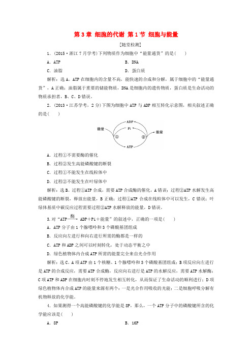 2017高中生物 第3章 细胞的代谢 第1节 细胞与能量习题 浙科版必修1