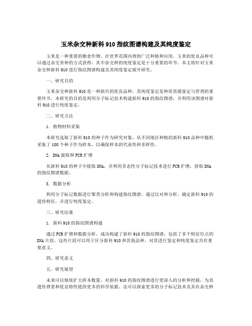 玉米杂交种新科910指纹图谱构建及其纯度鉴定