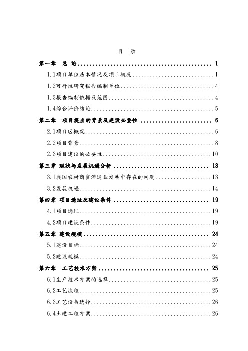 某某供销超市项目可行性实施计划书