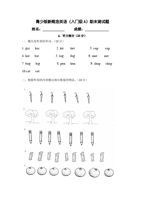 青少版新概念入门级A期末测试卷