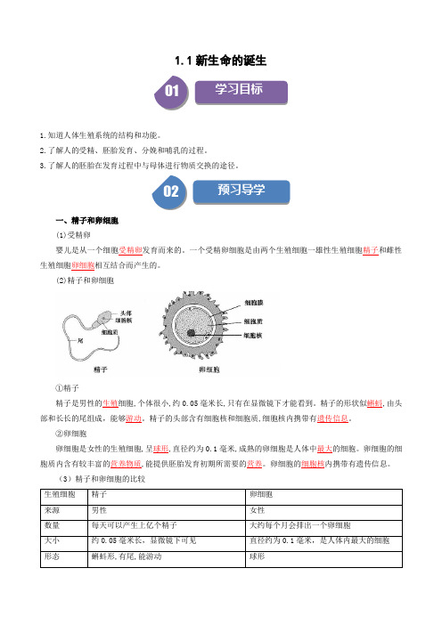 1.1新生命的诞生-2023-2024学年七年级科学下册学与练(浙教版)