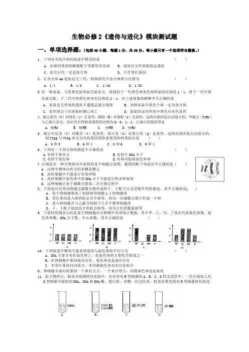 安徽省芜湖市生物必修2《遗传与进化》模块测试题