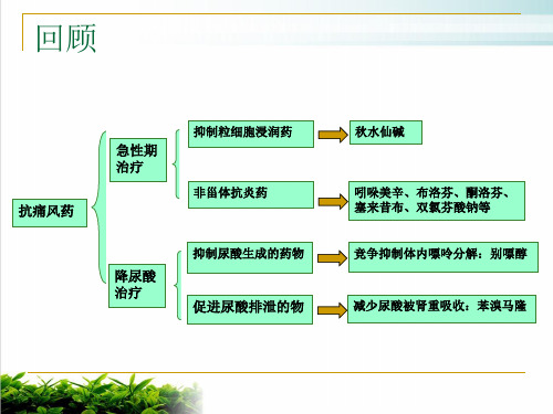 神经系统药物PPT课件
