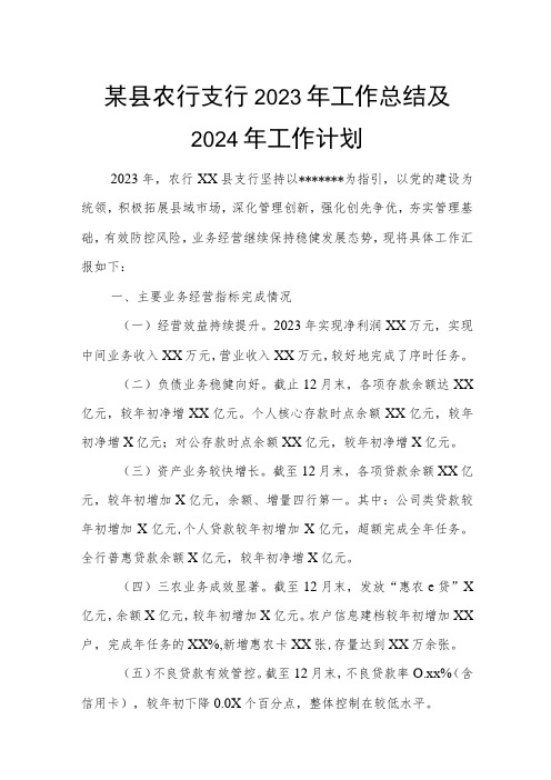 某县农行支行2023年工作总结及2024年工作计划