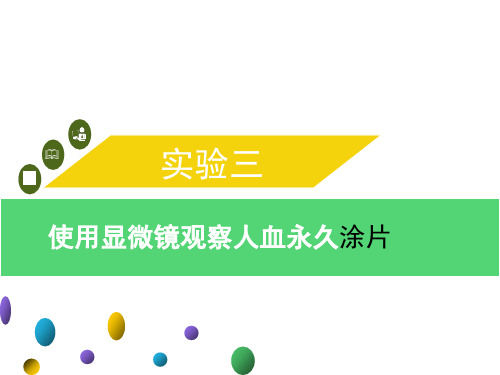 实验三 使用显微镜观察人血永久涂片 --2021年中考生物实验手册总复习