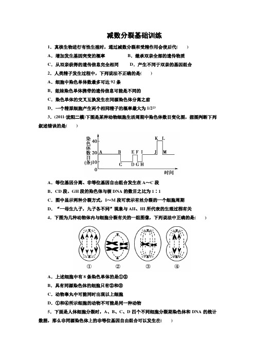 减数分裂基础训练