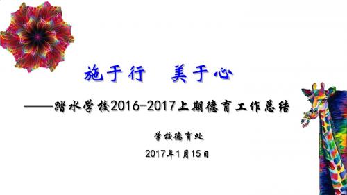 2016-2017上期德育工作总结