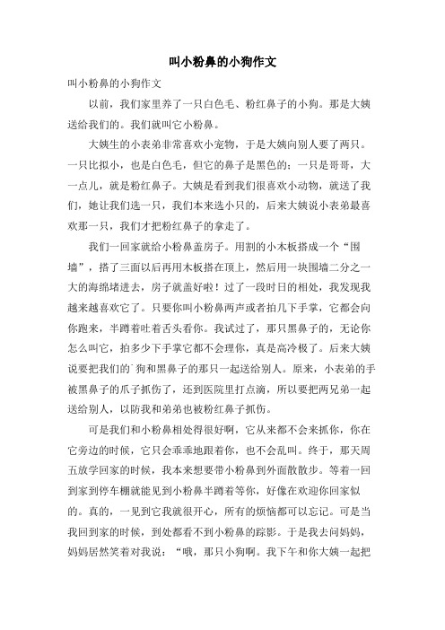 叫小粉鼻的小狗作文