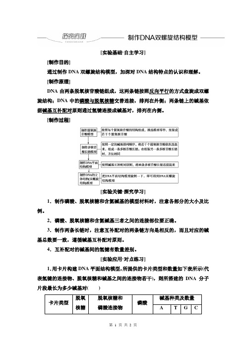 高中生物人教版2019必修第二册教学案第3章第2节探究实践制作DNA双螺旋结构模型