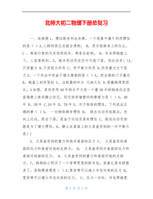 北师大初二物理下册总复习