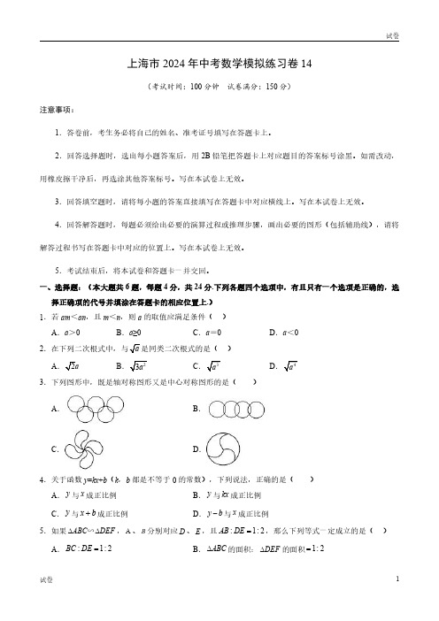 2024年上海中考数学模拟练习卷十四及参考答案