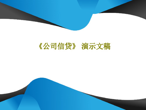 《公司信贷》 演示文稿205页PPT