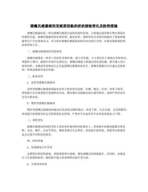 猪魏氏梭菌病的发病原因临床症状剖检变化及防控措施