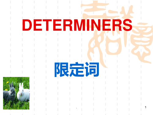 语法-determinersPPT课件