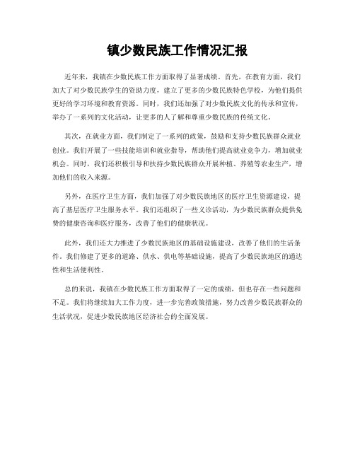 镇少数民族工作情况汇报