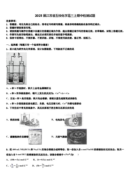 2025届江苏省五校化学高三上期中检测试题含解析