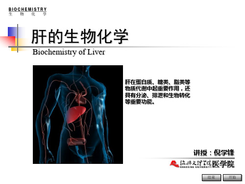 肝的生物化学