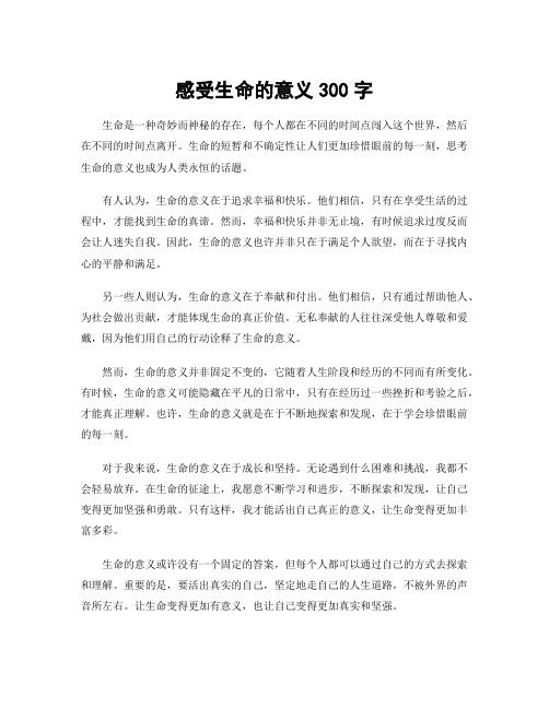 感受生命的意义300字