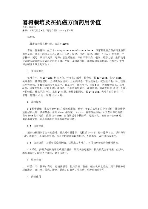 喜树栽培及在抗癌方面药用价值