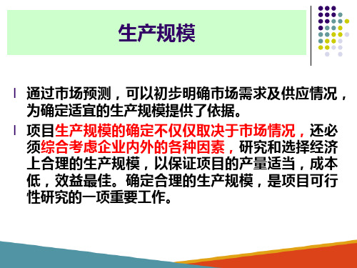 化工建设项目可行性研究及评估 生产规模的确定