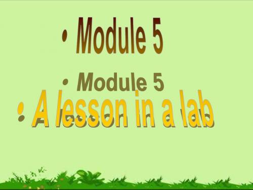 外研版高中英语必修一《Module 5 A Lesson in a Lab》课件