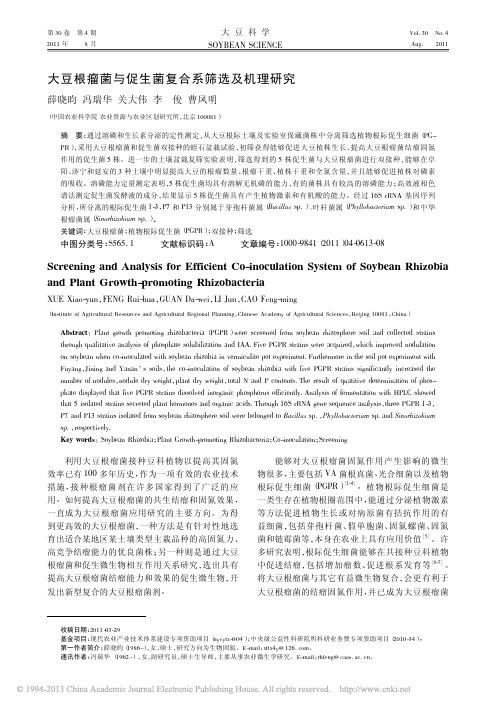大豆根瘤菌与促生菌复合系筛选及机理研究_薛晓昀