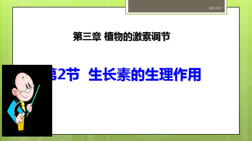 生长素的生理作用 高二生物人教版必修三