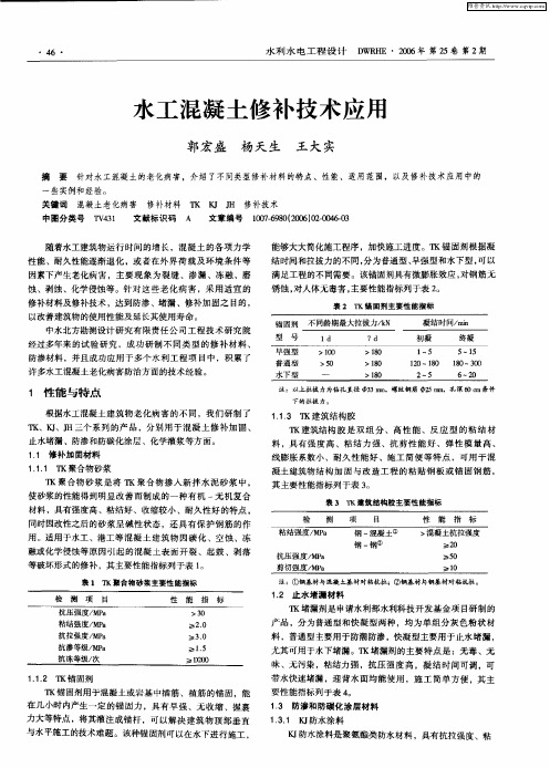 水工混凝土修补技术应用