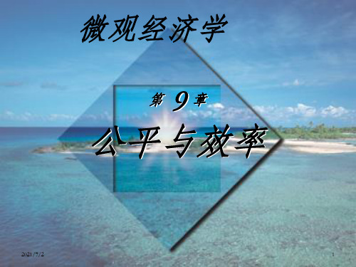 高鸿业微观经济学课件第9章-公平与效率