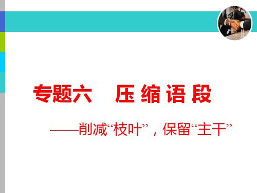 专题六  压 缩 语 段——削减“枝叶”,保留“主干”