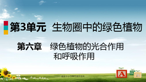 七年级生物上册第三单元第六章第四节植物的呼吸作用课件新版苏教版