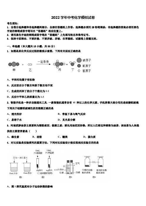 安顺市重点中学2022年中考冲刺卷化学试题(含解析)